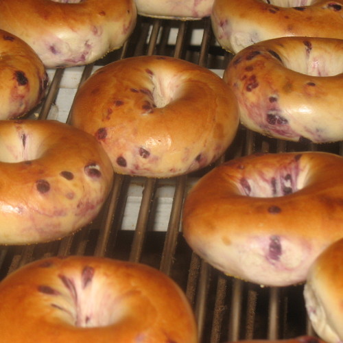bagel systems equipment